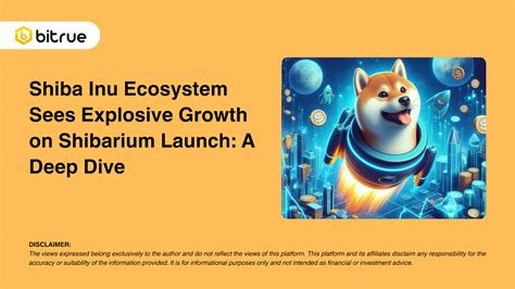 Shiba Inu Ecosystem Sees Explosive Growth On Shibarium Launch Bitrue Faq