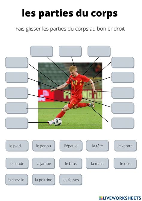 Les Parties Du Corps Interactive Worksheet For Primaire Artofit