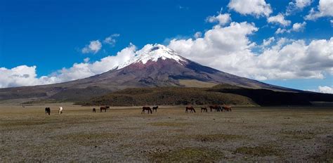 From Quito Cotopaxi and Baños Tour in One Day All Included GetYourGuide