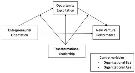 Opportunity Strategy And Entrepreneurship A Meta