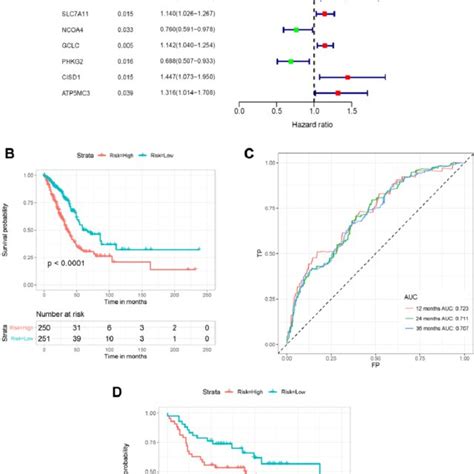 Construction Of The Frg Based Survival Model For Prognostic Prediction