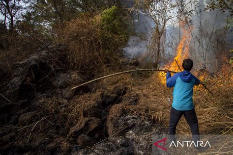 Kebakaran Hutan Di Lereng Gunung Ciremai Antara News Jawa Barat