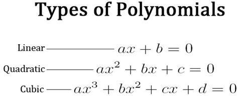 Polynomial And Its Types Polynomial Equation Concepts Zeroes And So On