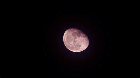 Look up: 'Pink Moon' to be seen early Tuesday, April 11 | Daily Hive ...