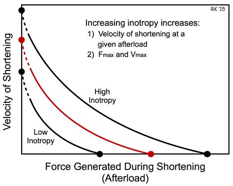 Cv Physiology Cardiac Muscle Force Velocity Relationship