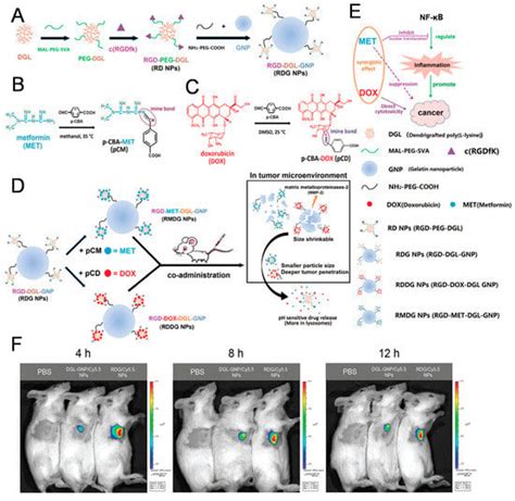 Cancers Free Full Text Active Targeting Strategies Using Biological