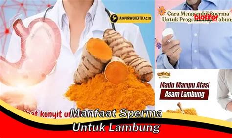 Temukan Manfaat Sperma Untuk Lambung Yang Jarang Diketahui Biotifor