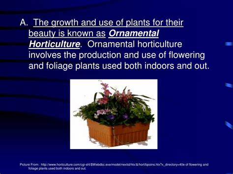 PPT Exploring The Horticultural Industry PowerPoint Presentation