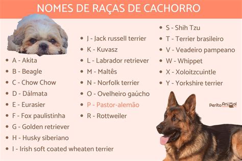 Todas Raças De Cachorros REVOEDUCA