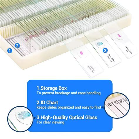 100pcs Prepared Microscope Slides Set Human Histology Prepared Slides