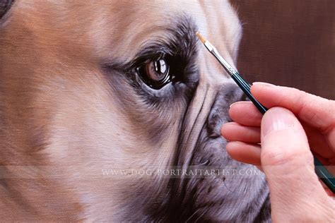 Dog Portrait Painting - Dog Portraits