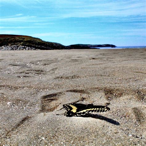 Morse Mountain to Seawall Beach (Phippsburg, ME) – Hiking in Maine