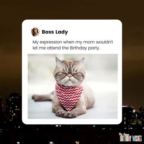 65 Happy Birthday Wishes Involving Cat Meme (with Pictures)