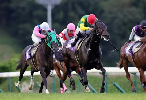 重賞 マイルチャンピオンシップ南部杯jpni結果／優勝はアルクトス号 岩手競馬