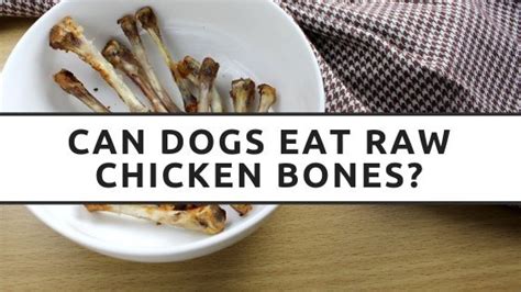 Can Dogs Eat Raw Chicken Bones - Is It Safe For My Dog To Eat It?