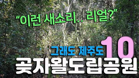 시끄러운 새소리 듣고 가실께요 Real sound ASMR 제주곶자왈도립공원 korean travel Jeju