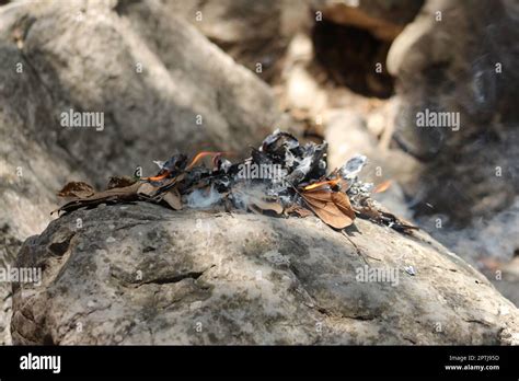 flame on forest mountain side Stock Photo - Alamy