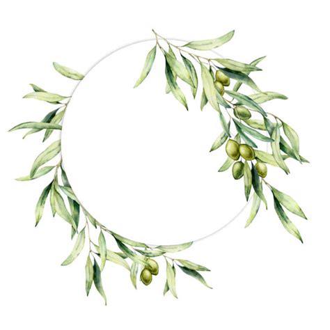 Olive Branch Wreath Stock Photos, Pictures & Royalty-Free Images - iStock