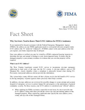 Fillable Online Fema Fact Sheet What You Need To Know Housing