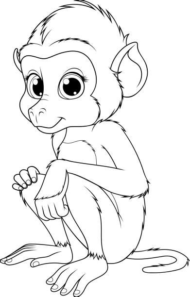 200+ Baboon Face Drawing Stock Illustrations, Royalty-Free Vector Graphics & Clip Art - iStock