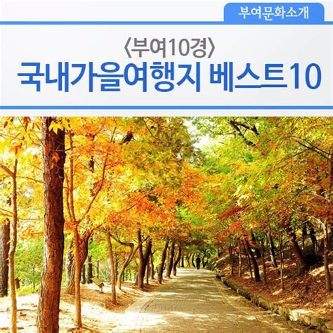 국내가을여행지 베스트10 추천 네이버 블로그