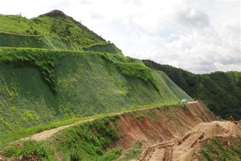 Reforestaci N De Talud Estabilizado De M De Altura Y M De Largo