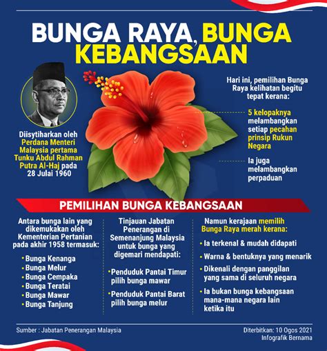 bunga kebangsaan artofit