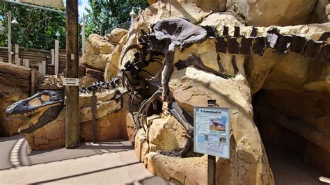 Boneyard Play Area in the Animal Kingdom Partially Reopens Dinosaur Dig ...