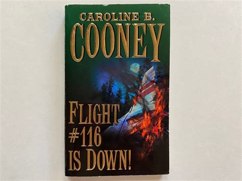 Flight 116 Is Down Summary 5