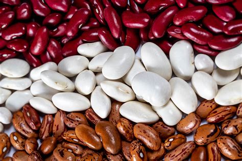 Photo Texture Beans Multicolor Food Many