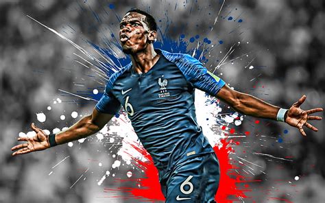 Paul Pogba, France national football team, goal, joy, French football ...