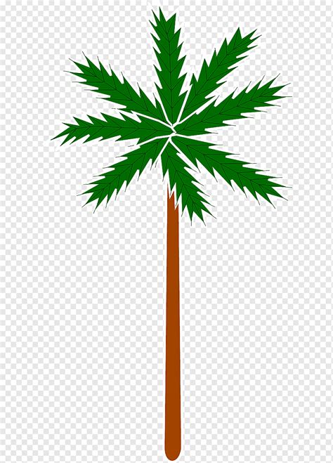 Palma Planta Estilizado Árbol png PNGWing