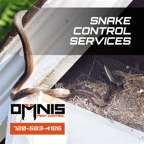 Snake Control Services Snake Removal Omnis Pest Control