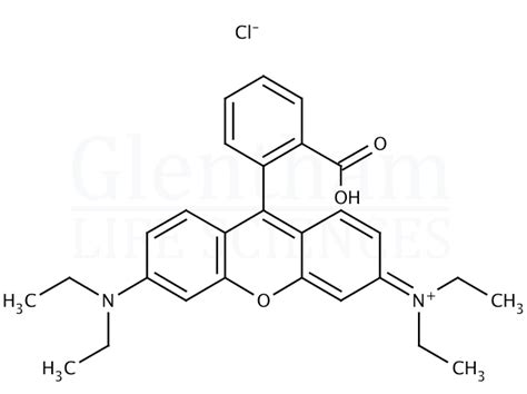 Rhodamine B Solution 0 2 In Isopropanol CAS 81 88 9 Glentham Life