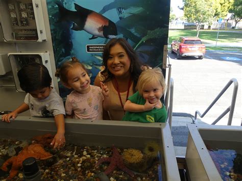 Exploring the World Through Words: Your Guide to the Placentia Community Library 5