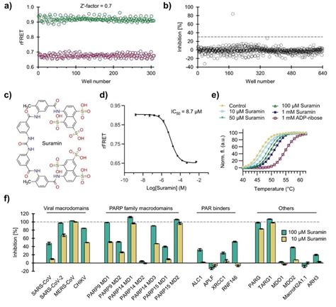 Development Of A Screening Assay For The Sars Cov 2 Nsp3 Macrodomain