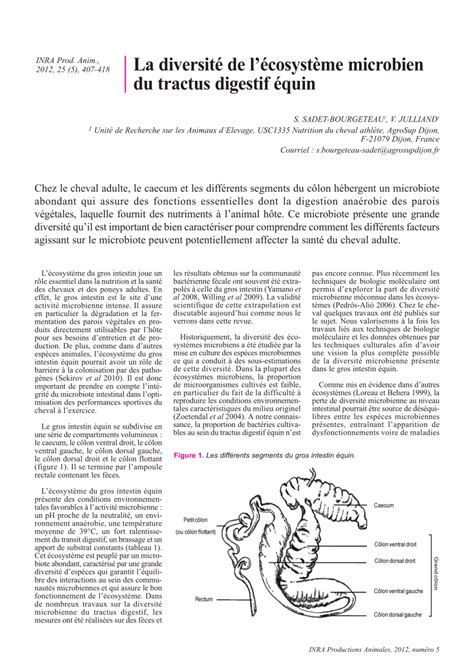 Les Fonctions De Nutrition La Digestion Espe