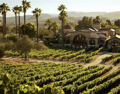 The Best Temecula Wineries With Hotels Immerse Yourself In Vineyard