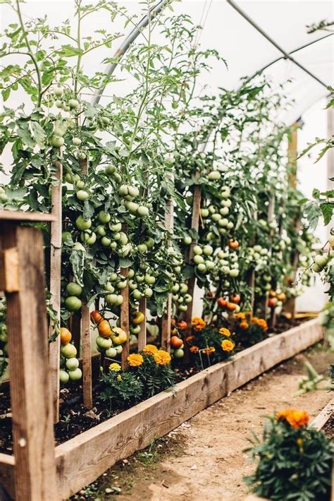Как выбрать растения для дачного участка? — INMYROOM | Garden planning ...