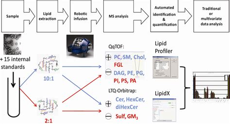 Optimized Shotgun Lipidomics Workflow For GSL Quantification See