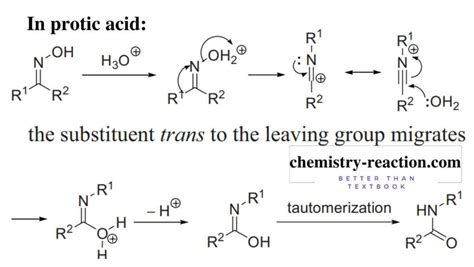 Beckmann Rearrangement Organic Chemistry Reaction