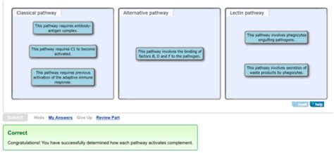 Complement Flashcards Quizlet