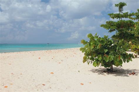 On Brandons Beach Bridgetown Barbados Stock Image Image Of Coast