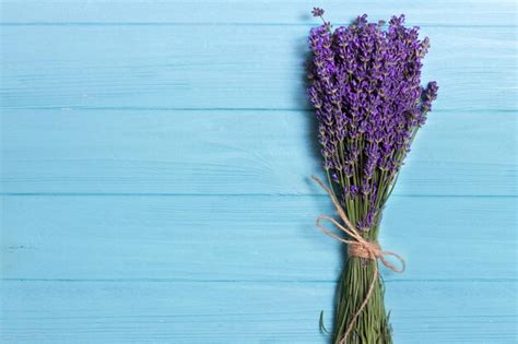 Premium Photo | Lavender bouquet on a blue background