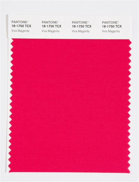 Pantone Colour of the Year 2023 | Pantone color, Color of the year, Pantone