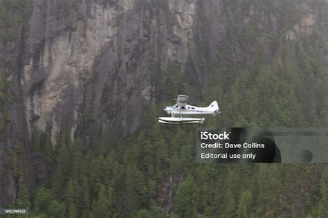 De Havilland Beaver Dhc2 N87597 Flying In Misty Fjord Alaska Usa Stock