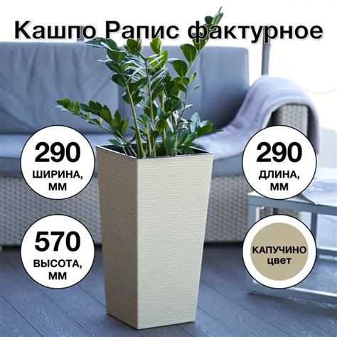 6 комнатных растений, которые не требуют частого полива | Уютный дом с ...