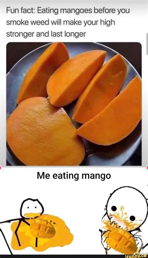 Fun Fact Eating Mangoes Before You Smoke Weed Will Make Your High