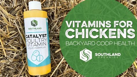 New Liquid Chicken Vitamins Catalyst Youtube