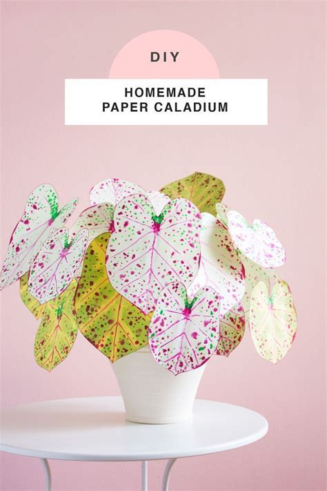 Diy Paper Plants Paper Plants Diy Paper Plants Paper Flowers